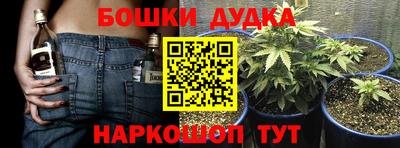 стаф Ставрополь