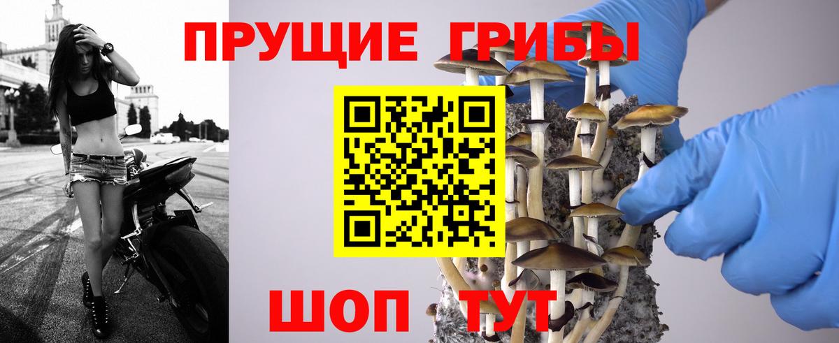 Галлюциногенные грибы GOLDEN TEACHER  Вход с VPN  Ногинск 